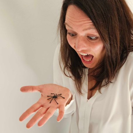 Kinesiologie Marion Sulzer Phobien Spinnenphobie Höhenangst Flugangst